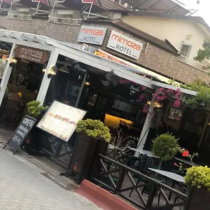 Mimoza Олудениз